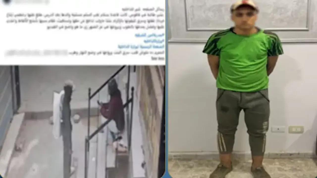 ضبط عامل خردة في الشرقية بعد محاولته سرقة هاتف طالبة